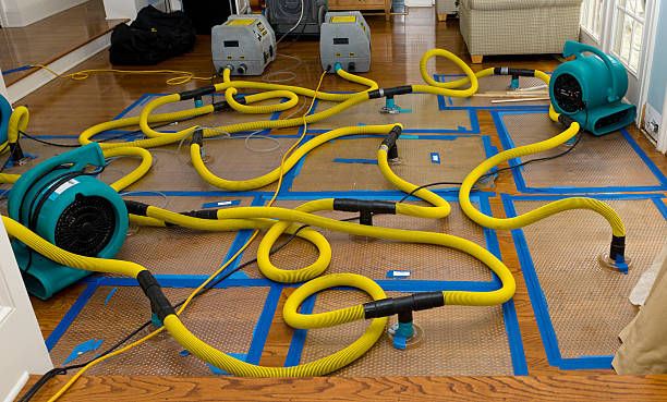 Professional Water Damage Repair technician working in Lake Ann, MI
